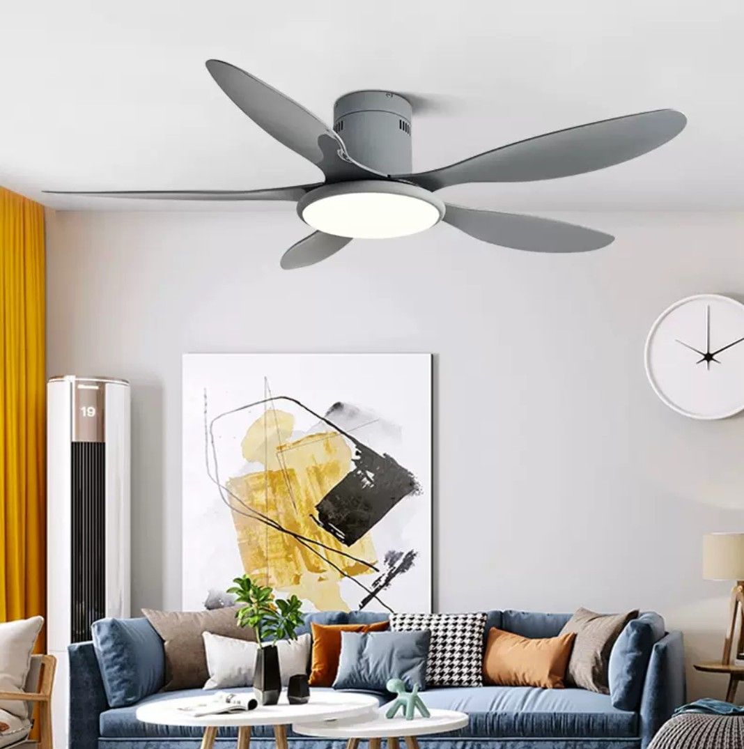 Ceiling fan with light